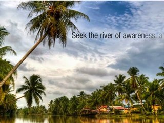 Revealing All The Coconut Oil Benefits To Amaze You