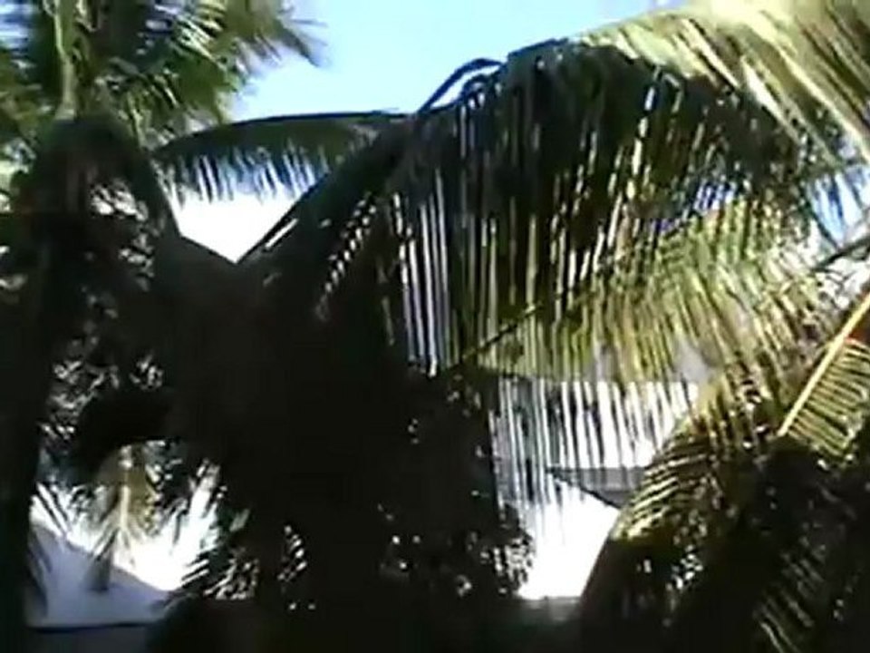 Jameika RIU Palace Tropical Bay Rezeption von aussen Hallo Bar