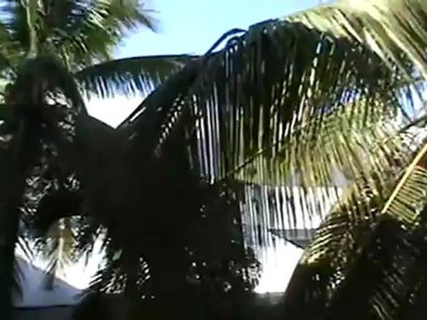 Jameika RIU Palace Tropical Bay Rezeption von aussen Hallo Bar