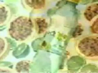 Show de Propagandas da Cover 08 - De volta à 2010