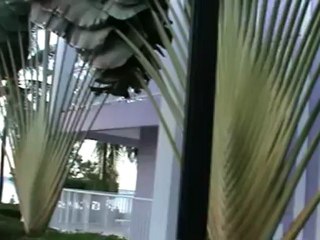 Jamaika Riu Montego Bay (11).MPG