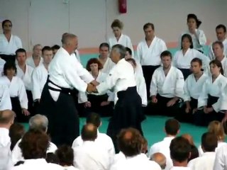 Tamura sensei shihonage