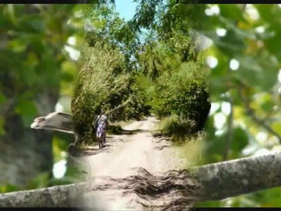Una granja
