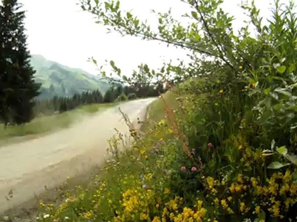 sortit samoen Bmw E30