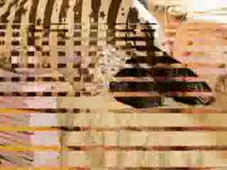 Gunce Yorgancilar       "Seni Seviyorum"