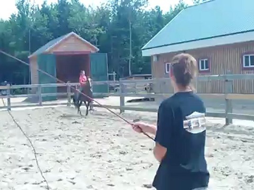 mousseline et moi a cru saut d'obstacle 2p.