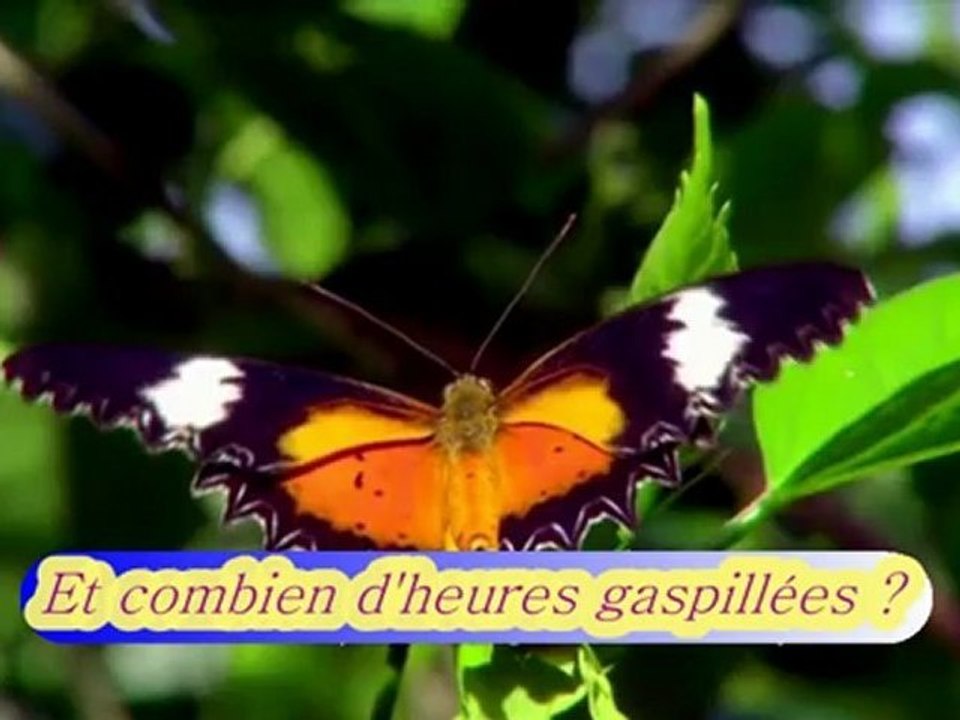 Interroge toi avant qu'il ne soit trop tard