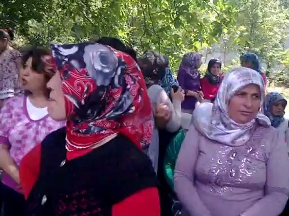 Hanefi Köyü Geleneksel Düğün (Adem SİVİŞ'in Düğünü)-Gelin Evine Odun Yıkma