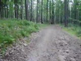Zjazd rowerem przez las z Jaworzyny przez Wierchomlę do Szczawnika