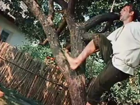 Девица черноброва-Свадьба в малиновке