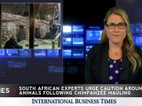 American Student Mauled by Chimps at South Africa Sanctuary, Experts Urge Caution