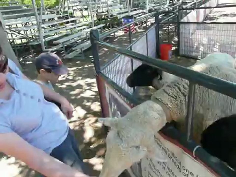 100 YEARS ALAMEDA COUNTY FAIR. O1 008