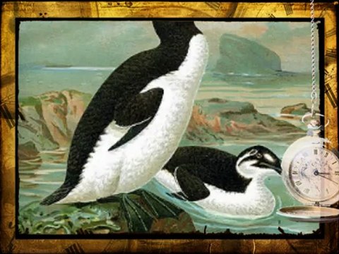 On This Date In History - Video - MyInboxNews.com