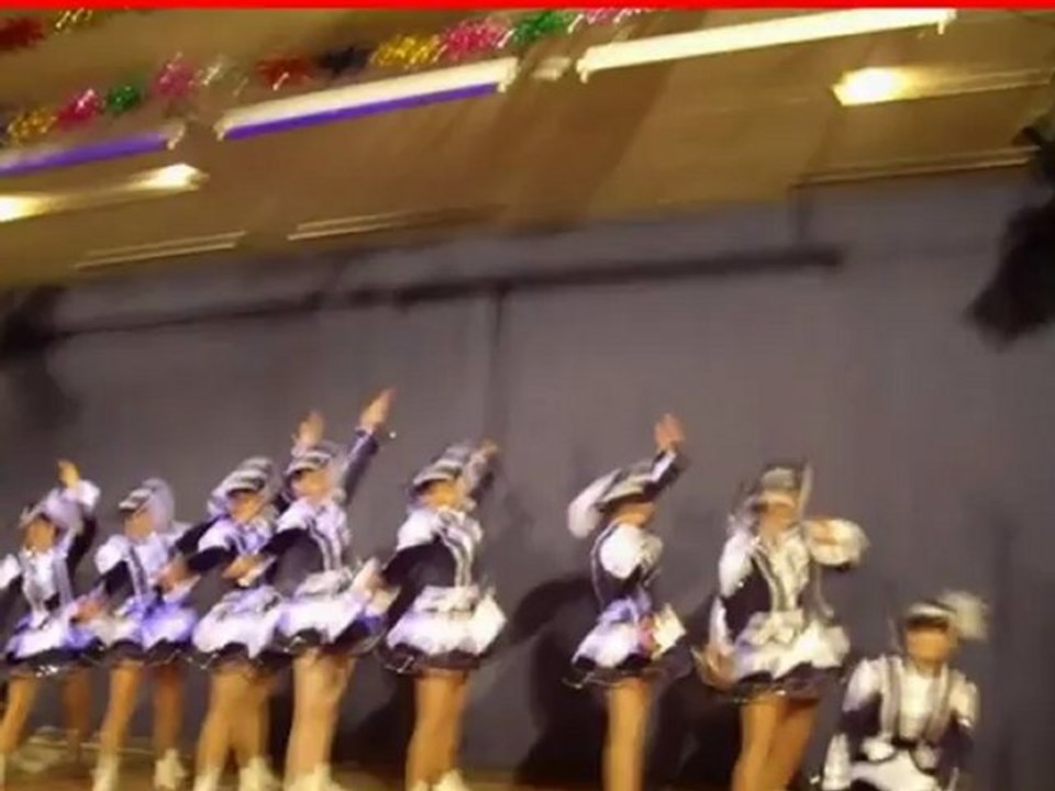 Gauaschach Aschi Prunksitzung am 30.01.2009 Fotograf Hubert Fella