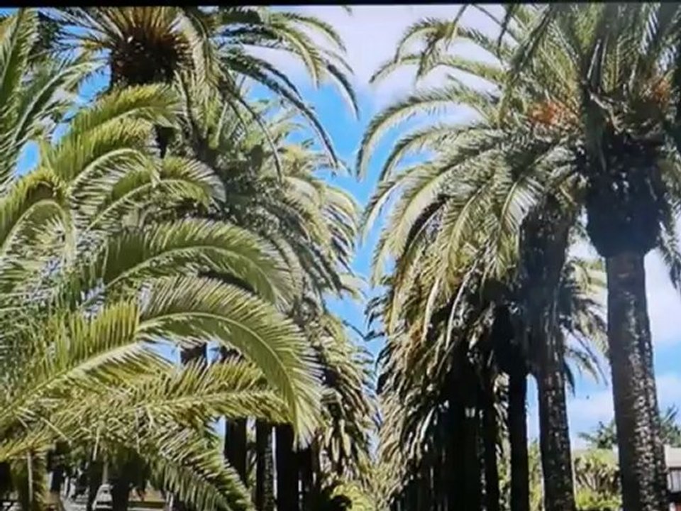 Clubhotel Riu Buena Vista Teneriffa Riuhotel Bilder Fotos www.Fella.de