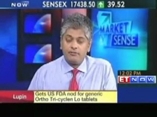 Rupee rises to near one month high