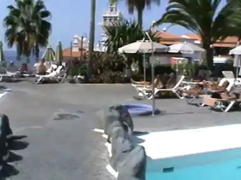 Riu Arecas Pool Garten Playa Del Duque Costa Adeje Teneriffa Bilder Fotos