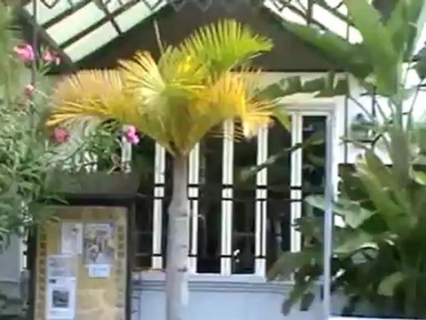 Hotel Jardines de Nivaria Playa De Fanabe Costa Adeje Teneriffa Video