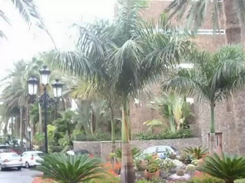 Riu Hotel Grand Palace Maspalomas Oasis Bilder Fotos Video