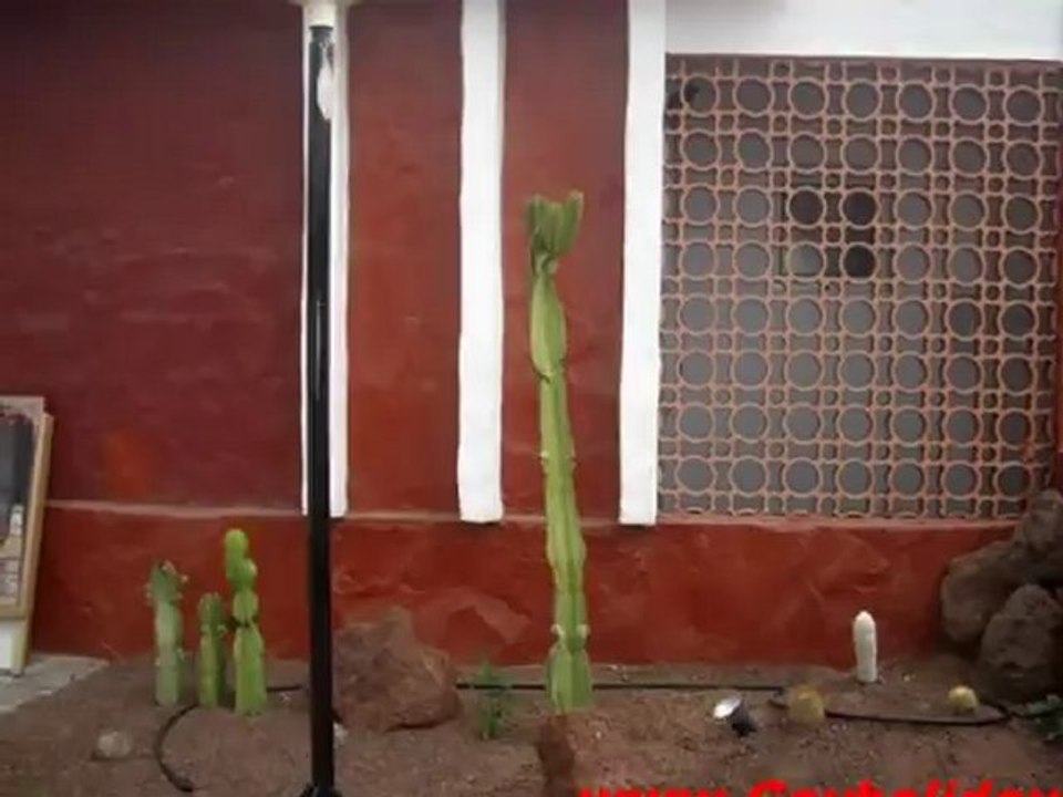 Los Tucanes Gay&Friends Playa Del Ingles naehe Yumbo