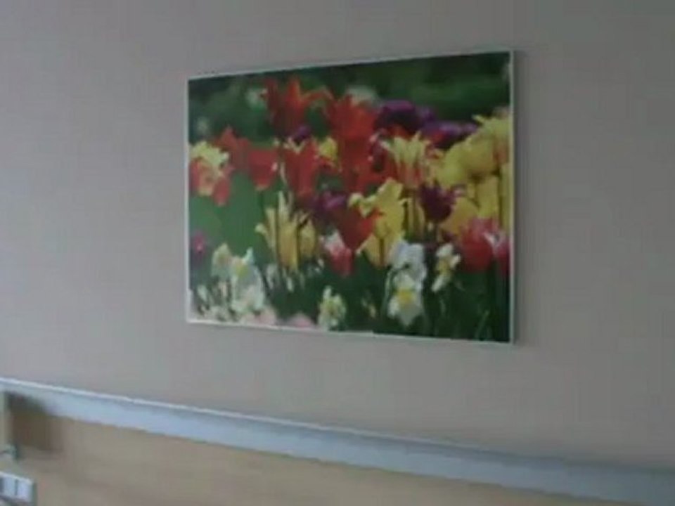 TREFF Hotel Panorama Comfort Zimmer Oberhof Bilder Partyhotel Waldmarie Disco Skihotel Sporthotel