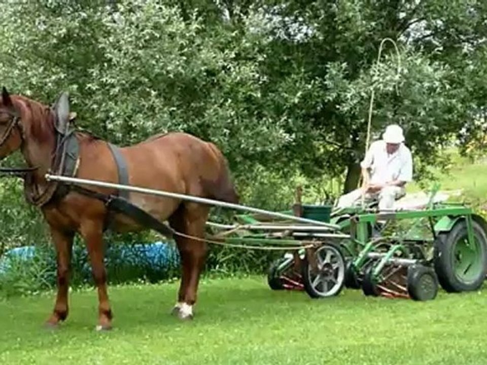 tondeuse écolo