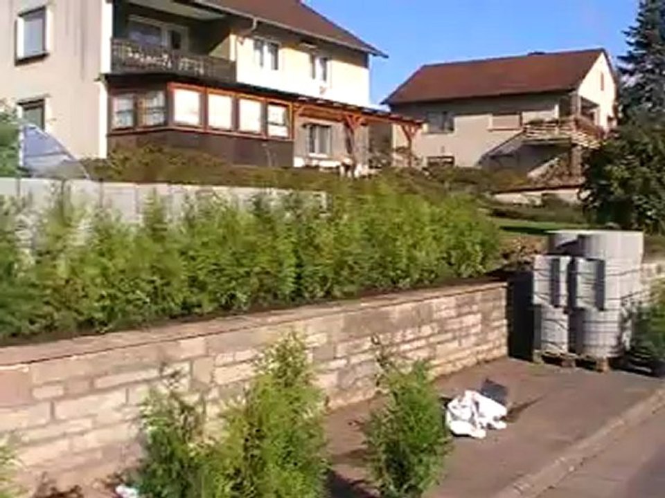 Ab ins Beet VOX Hubert Fella und Matthias Mangiapane Thujahecke wird gepflanzt Hammelburg - Diebach