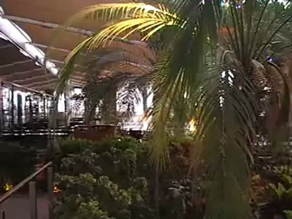 Abu Dhabi Hotel Radison Pool Garten Blu Formel 1 Rennbahn www.Fella.de