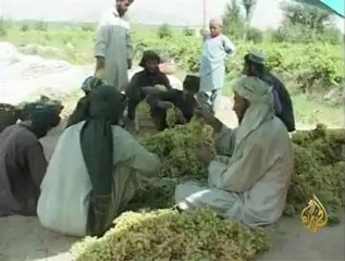 االعام العاشر لدخول القوات الاجنبية إلى افغانستان