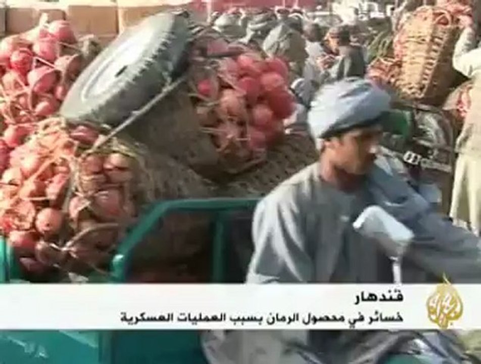 خسائر محصول الرمان بسبب الحرب في أفغانستان