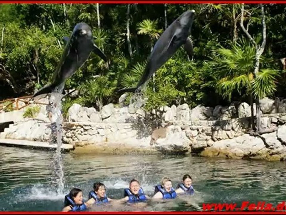 Delfinschwimmen Mexiko Playa del Carmen Hubert Fella www.VIP-Reisen.de