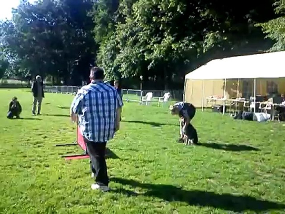 Parcours du brevet de mon Loulou...