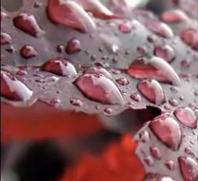 Bulent ERSOY CEZA Yağmurlu Bir Günde Doğdum Anamdan