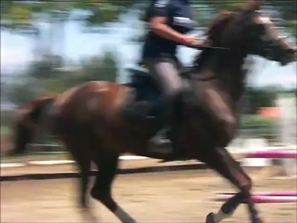 Essai poney