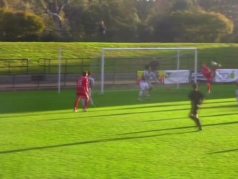 Le magnifique coup du scorpion australien !