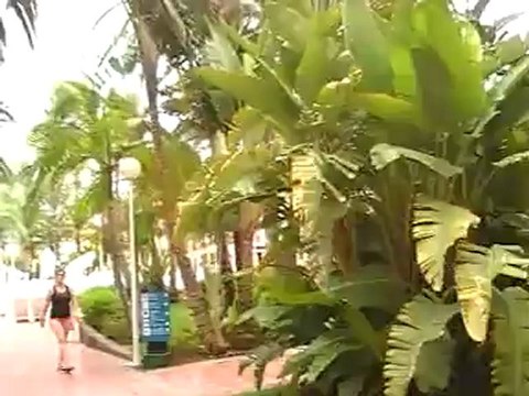 Riu Palmeras Playa del Ingles Gran Canaria Bilder Video Film Fotos Fella.de