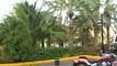 Riu Palace Meloneras Resort Maspalomas, Gran Canaria Bilder Video Film Fotos www.VIP-Reisen.de