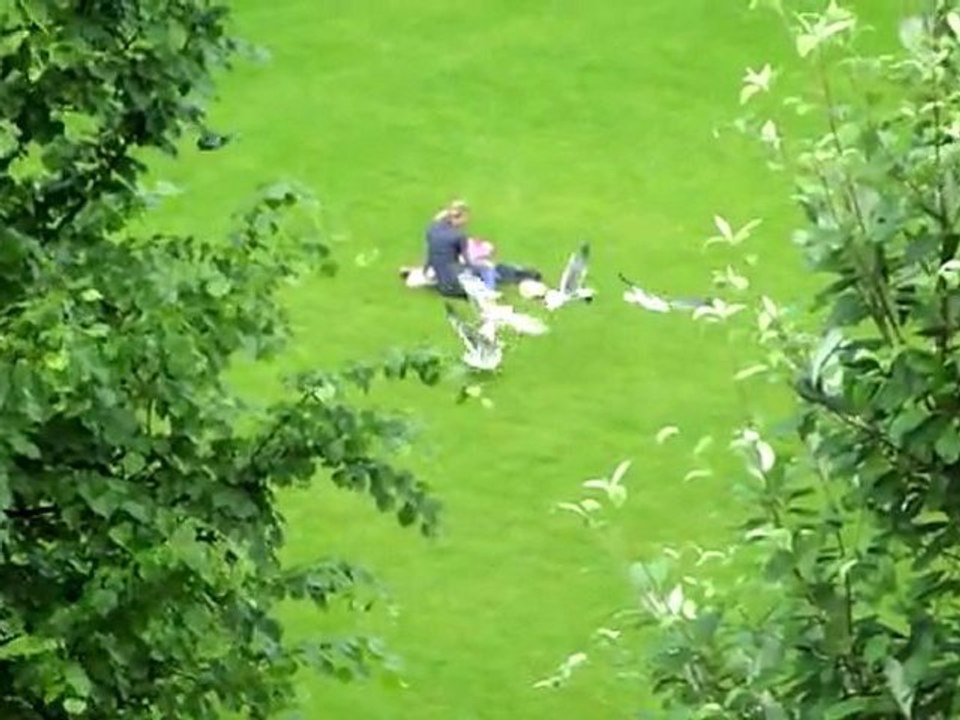 The seagulls are restless