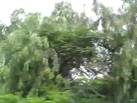 Riu Don Miguel in Playa Del Ingles Yumbo Center Bilder Video Foto Fella.de