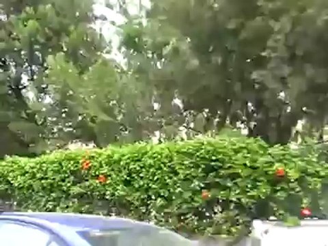 Hotel Playa del Sol Yumbo Center Gran Canaria Playa Del Ingles Gayholiday.de