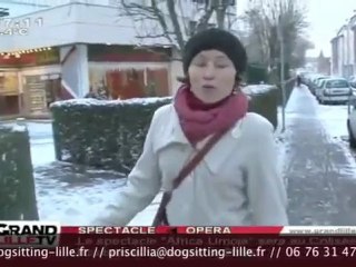 dogsitting lille sur grand lille tv