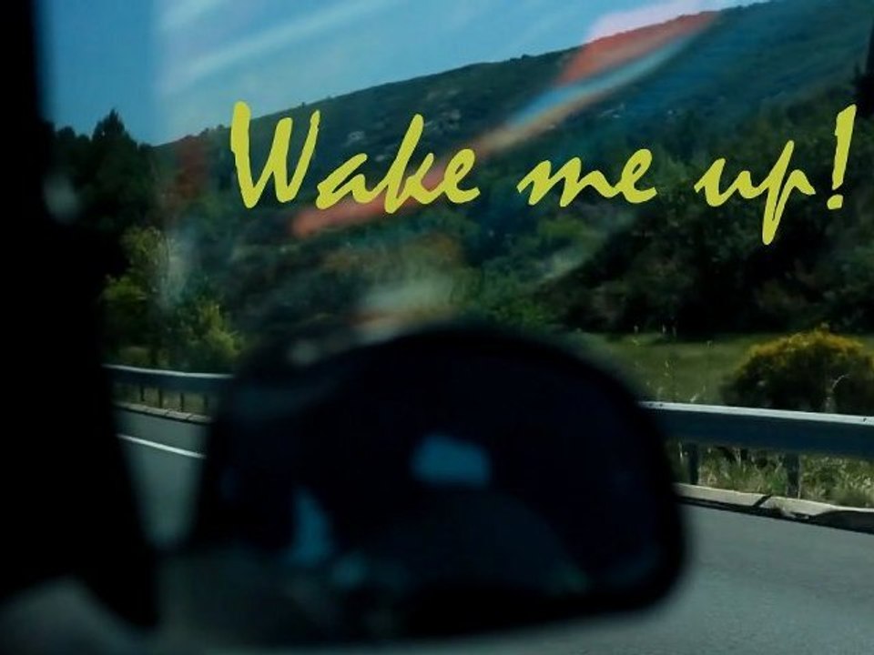 Wake Me Up