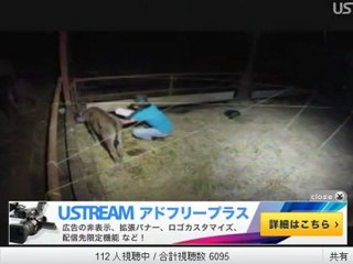 ②20120703  しずちゃん、パンダちゃん授乳中