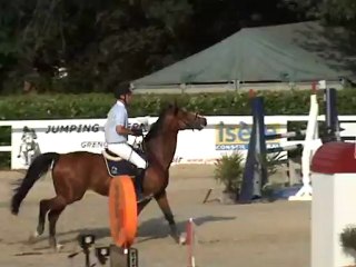 rdv-pgb progressive 110