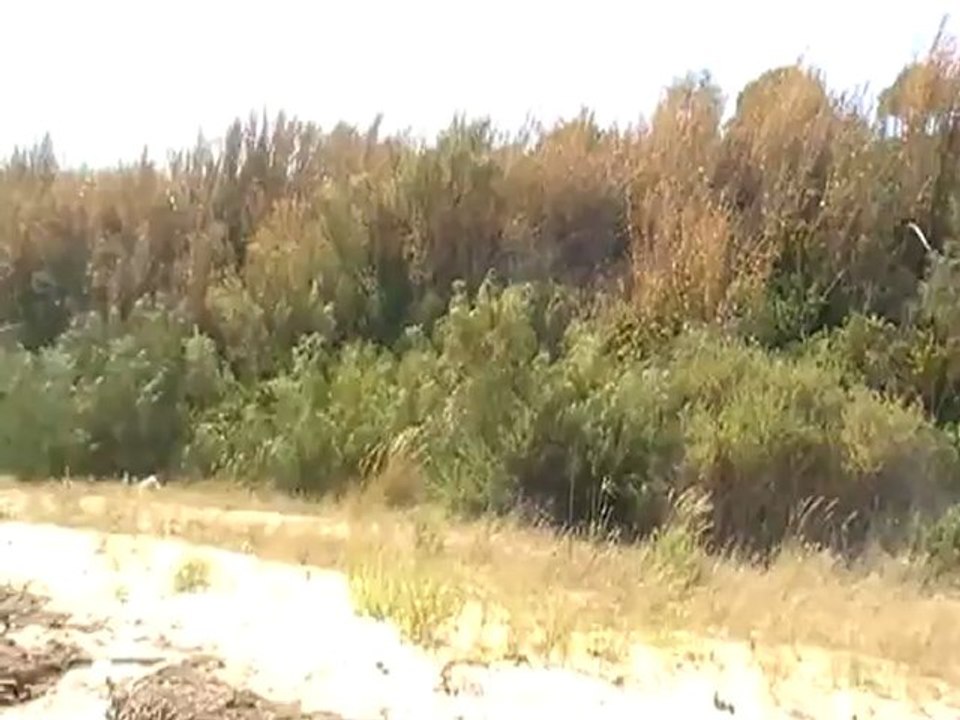 ROBINSON Club Quinta Da Ria Tavira Algarve Osten Albufeira Faro Monte Gordo Film Video Hubert Fella