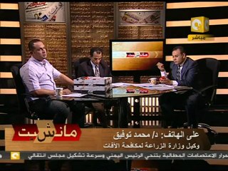 مانشيت: طماطم إسرائيلية فى الأسواق المصرية