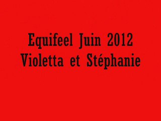 Violetta et Steph : Equifeel 2012