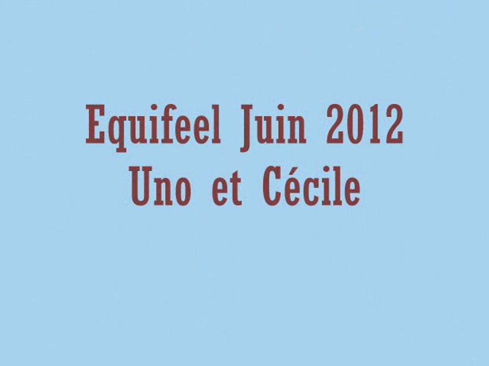 Uno : Equifeel 2012
