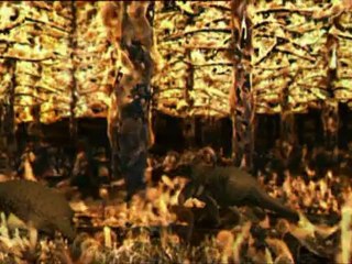 la relève du Dinosaure - impact météorite