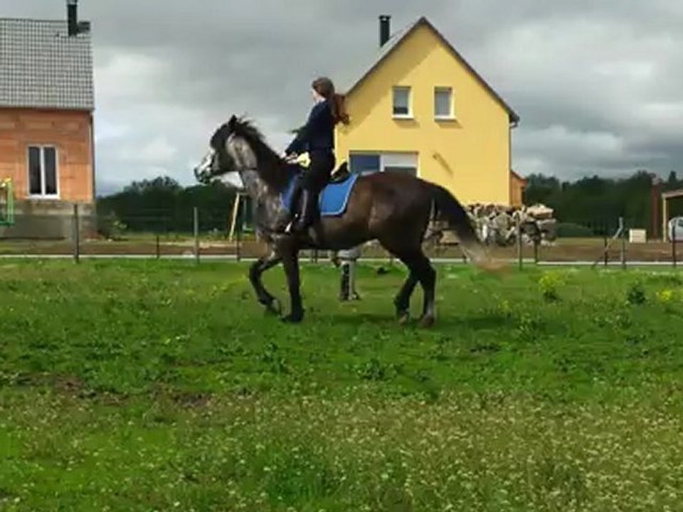 Cours avec Louise partie 5